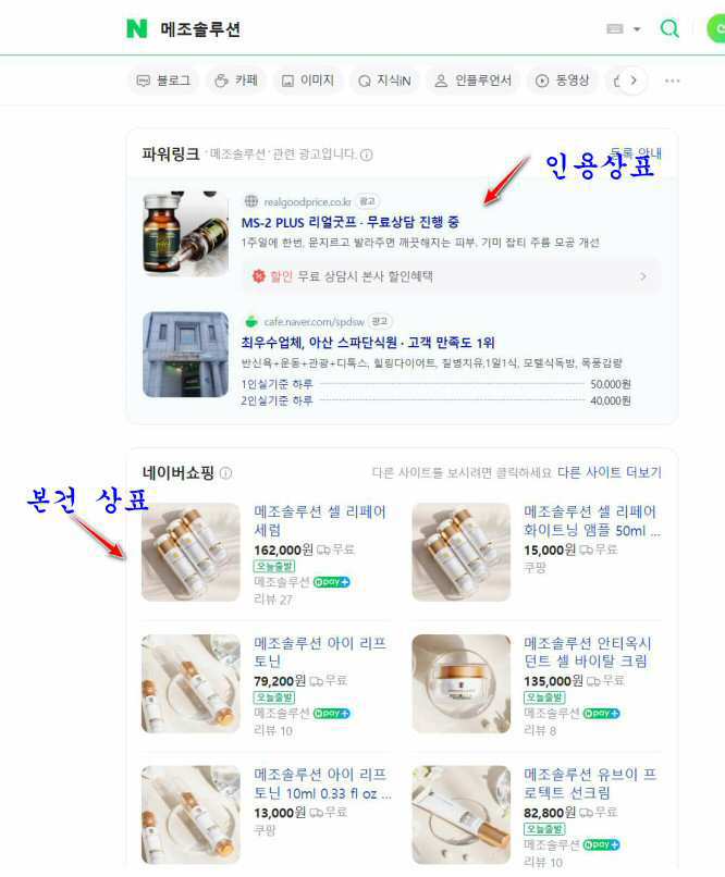 메조솔루션 네이버 검색