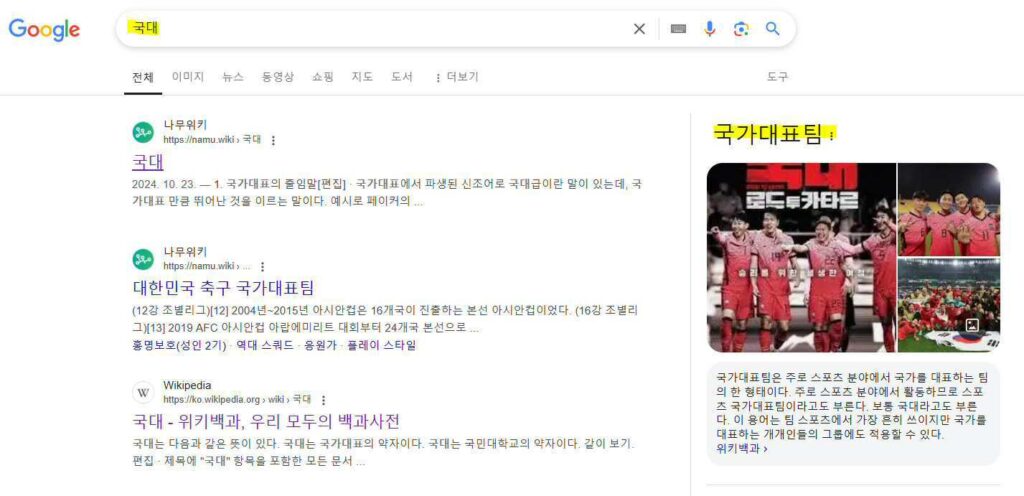 구글에서 국대검색